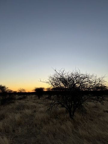 namibie7